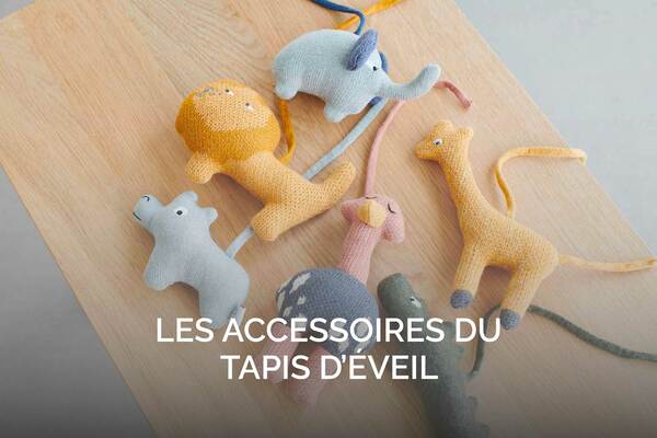 Accessoires du tapis d'éveil