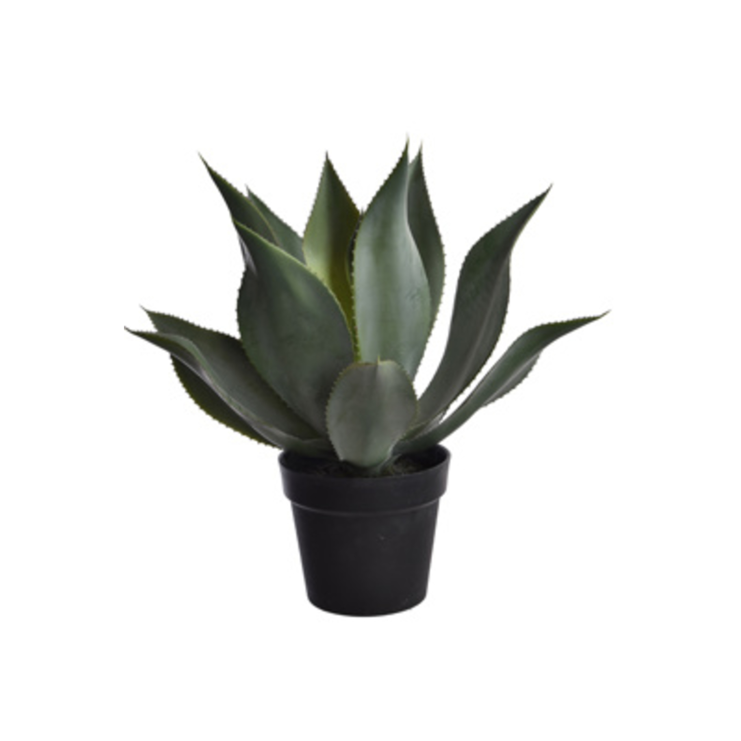 Agave en pot (53 cm) Jasaco