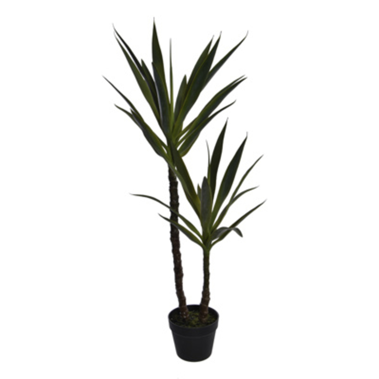 Arbre Yucca (110 cm) Jasaco