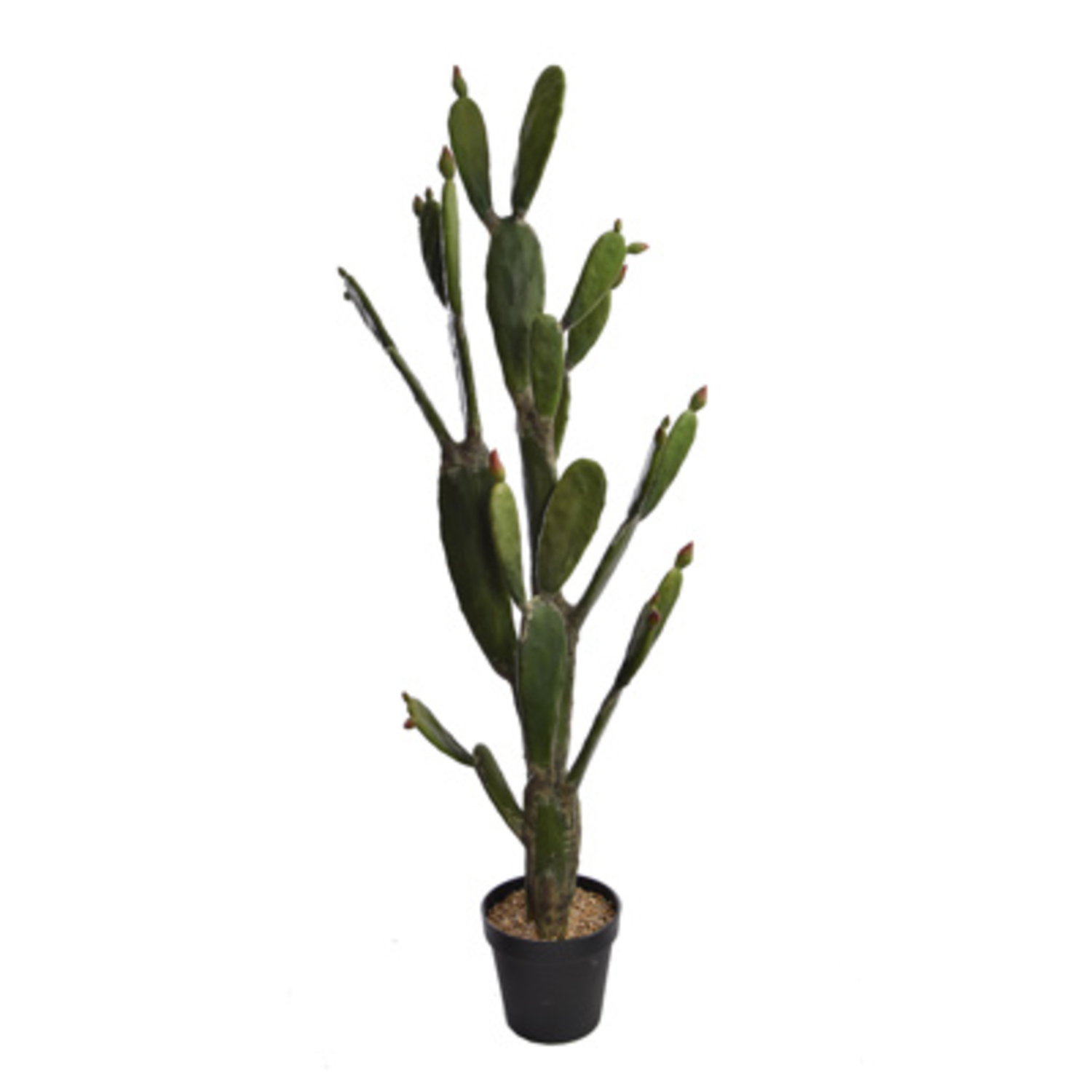 Cactus en pot (143 cm) Jasaco