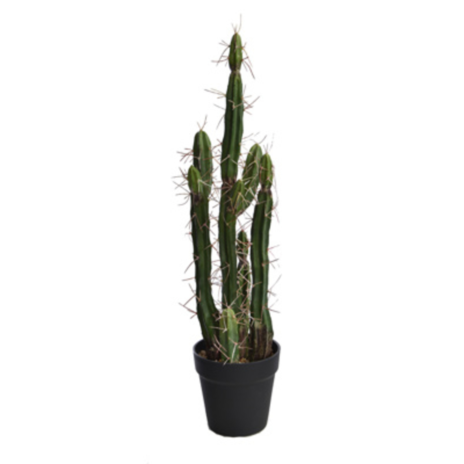 Cactus en pot (61 cm) Jasaco