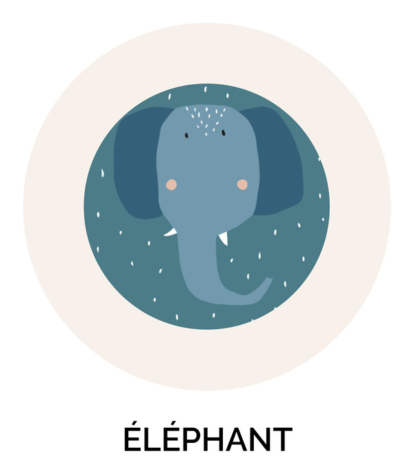 Elephant Trixie Baby