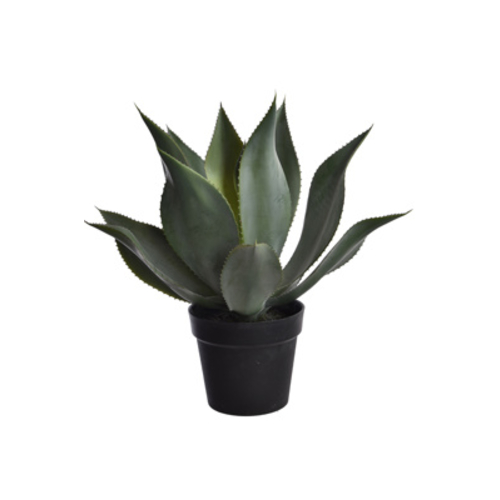 Jasaco Agave en pot (53 cm)