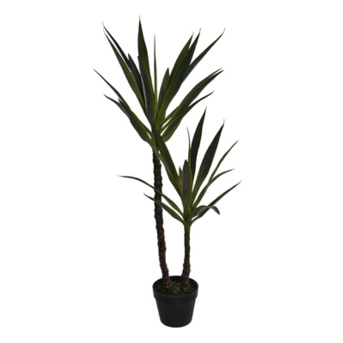 Jasaco Arbre Yucca (110 cm)