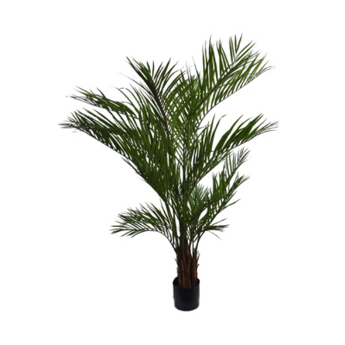 Jasaco Palmier Areca (170 cm)