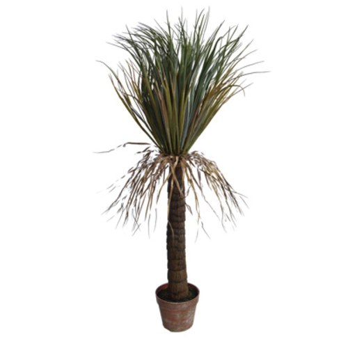 Jasaco Yucca sauvage (110 cm)