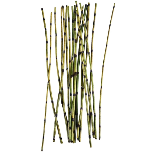 Madam Stoltz Tiges de bambou Vert