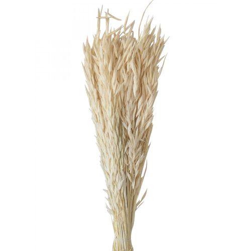 Opjet Fleurs d'Avena Naturelles (60 cm)