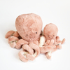 Peluche Pieuvre Octopus Odell Baby Jellycat